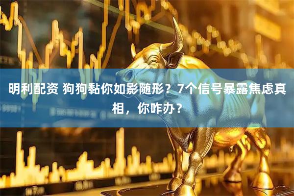 明利配资 狗狗黏你如影随形？7个信号暴露焦虑真相，你咋办？