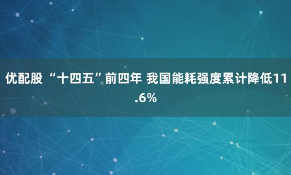 优配股 “十四五”前四年 我国能耗强度累计降低11.6%