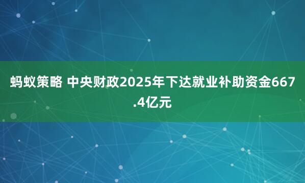 蚂蚁策略 中央财政2025年下达就业补助资金667.4亿元