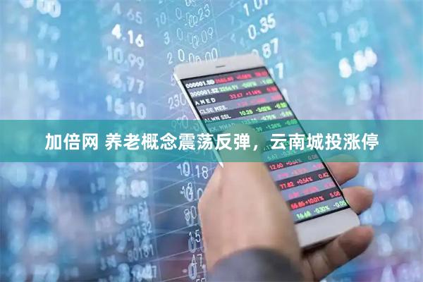 加倍网 养老概念震荡反弹，云南城投涨停