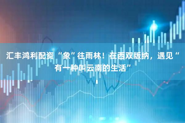 汇丰鸿利配资 “象”往雨林！在西双版纳，遇见“有一种叫云南的生活”